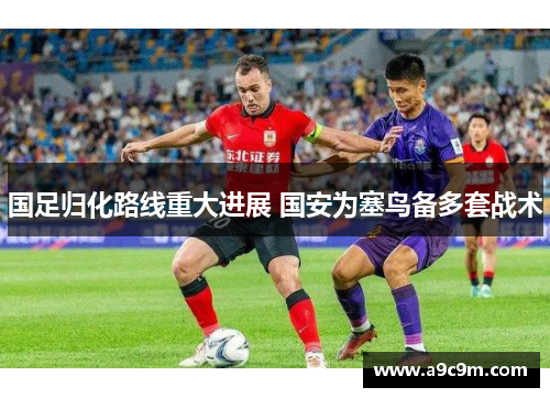 国足归化路线重大进展 国安为塞鸟备多套战术