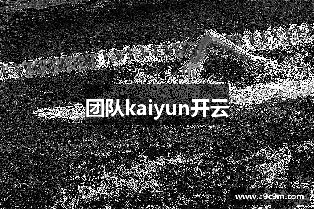 团队kaiyun开云